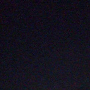 Meet your Posher, Reagan